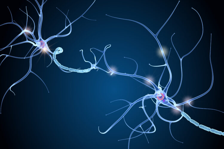 Elektrische Signale: Wie unser Gehirn und unsere Nerven miteinander kommunizieren